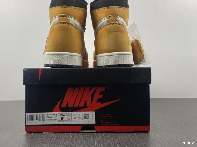 Reps TBK Jordan Curry 1 High Light DB2889-700 Gore-Tex Element 0817